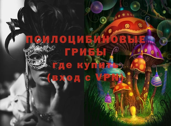 герыч Осинники