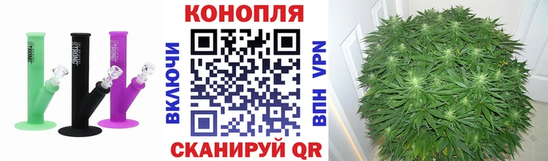 Бошки Шишки THC 21% Касли